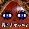 宅男视频播放器